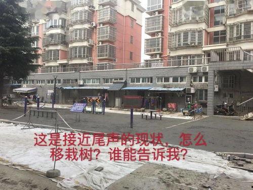 广州小区问题爆料最新,物业管理乱象频发，居民生活陷入困境  第2张